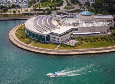 Shedd Aquarium in Chicago